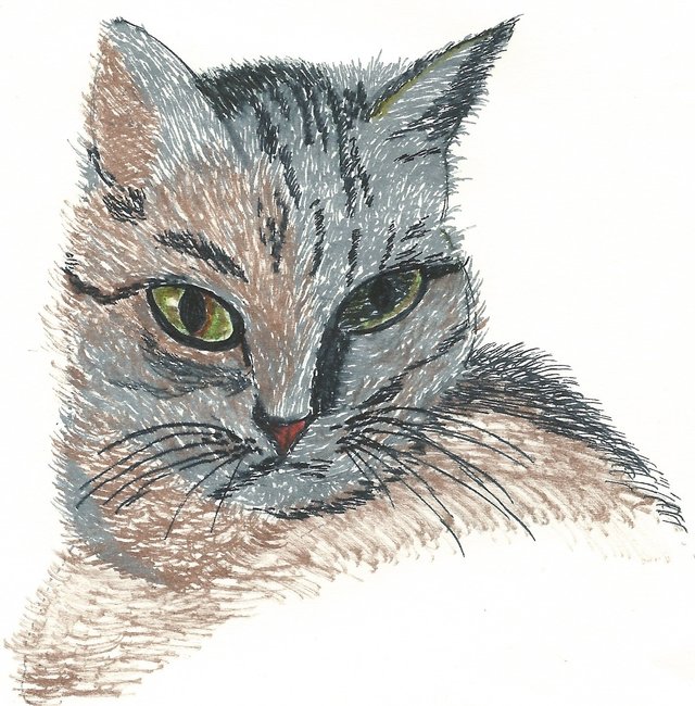 Martine SAINT ETIENNE
